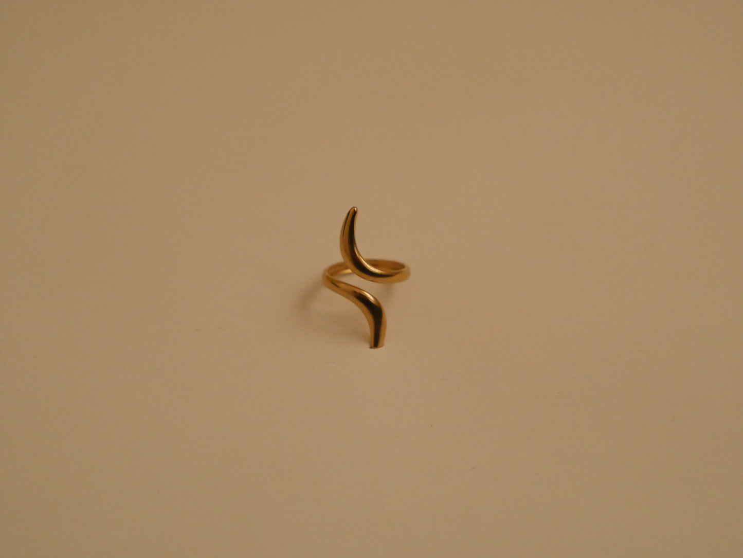 Bague Epine en Acier inoxydable - LYDIA