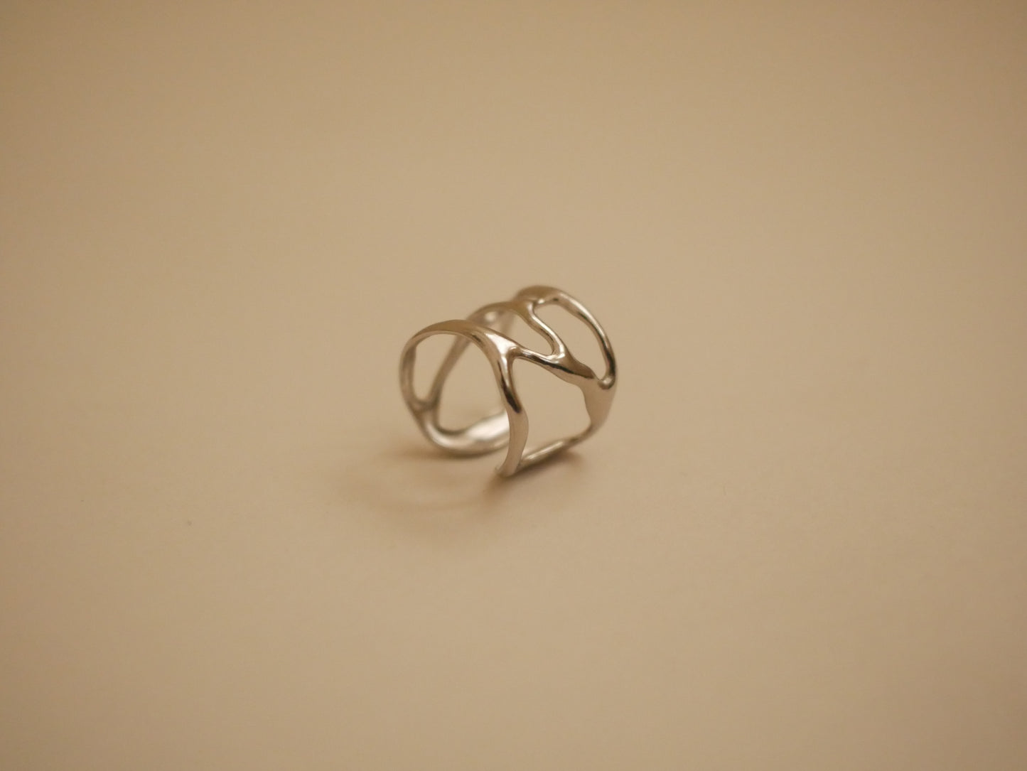 Bague Morphée en Acier inoxydable Argenté - LYDIA