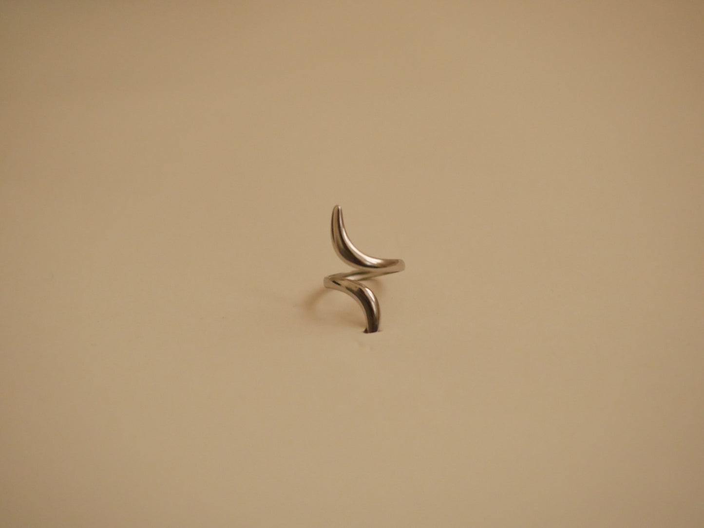 Bague Epine en Acier inoxydable - LYDIA