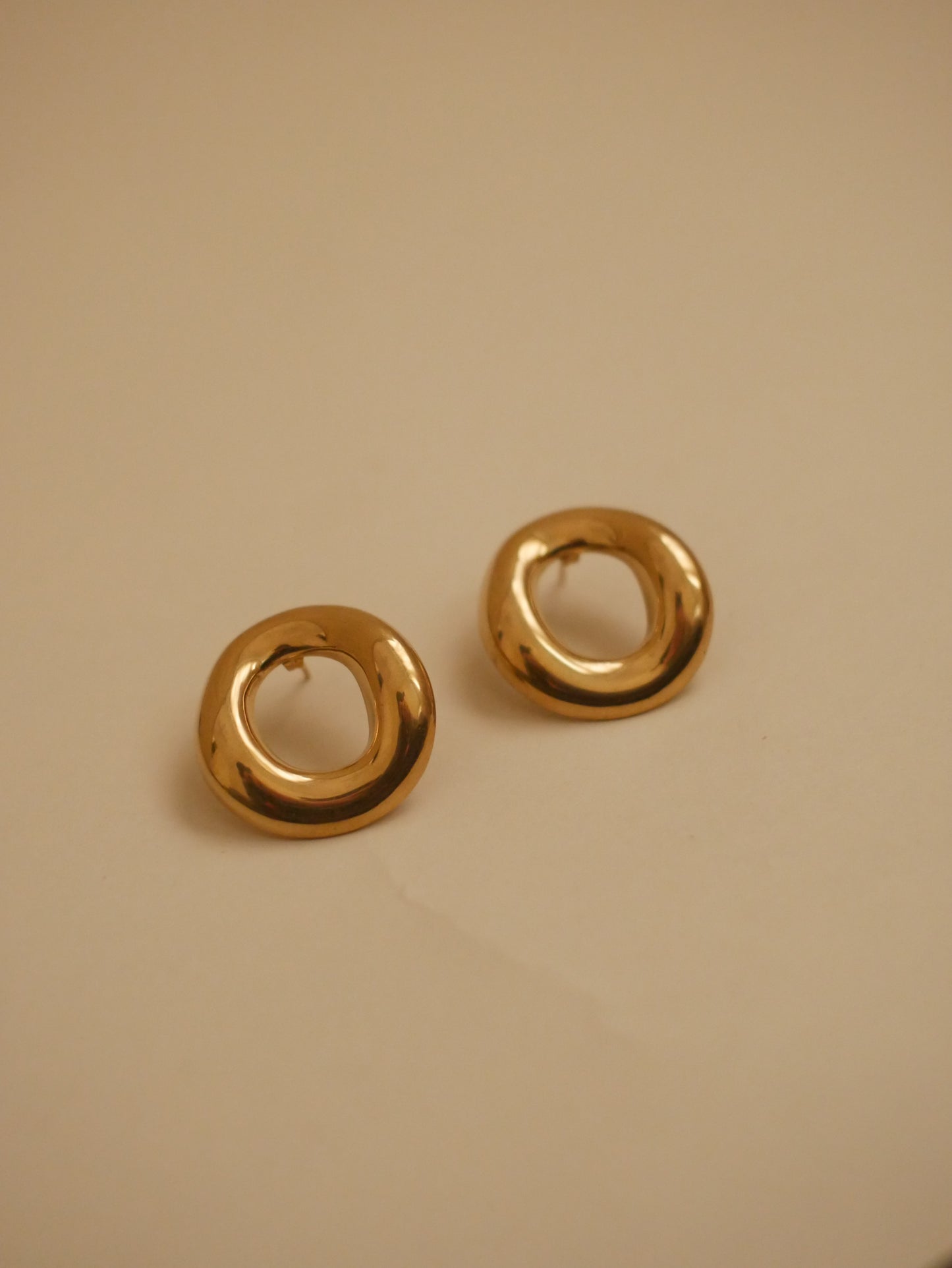 Anneaux d’Élégance - Boucles d’Oreilles en Acier inoxydable